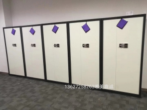 电子密码柜WM--BK-056