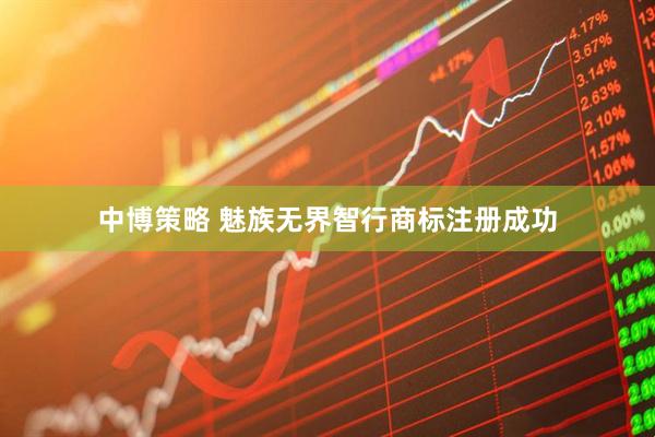中博策略 魅族无界智行商标注册成功
