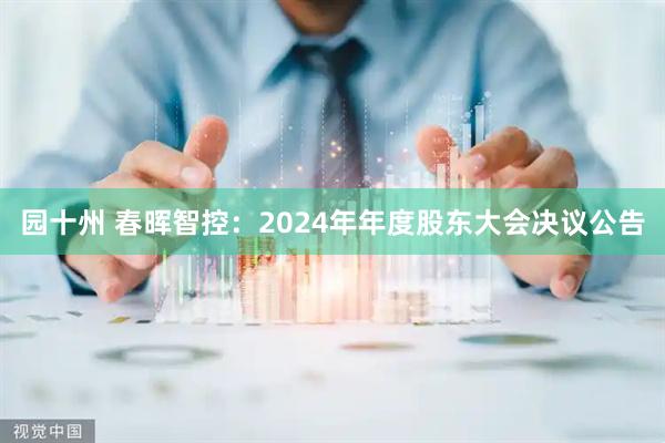 园十州 春晖智控：2024年年度股东大会决议公告