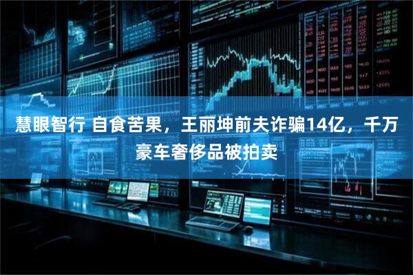 慧眼智行 自食苦果，王丽坤前夫诈骗14亿，千万豪车奢侈品被拍卖